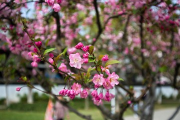 DSC_0942.jpg