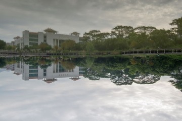 DSC_1152.jpg