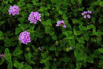 DSC_1166.jpg