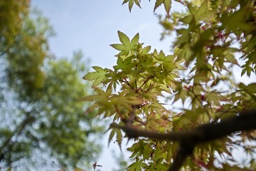 DSC_0943.jpg