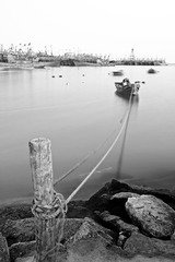 DSC_2519-bw