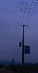 IMGP3323.jpg