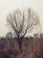 33B9927B-AA60-440F-B8F1-55EF76B104FE/L0/001