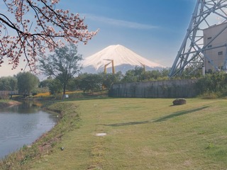 1231571