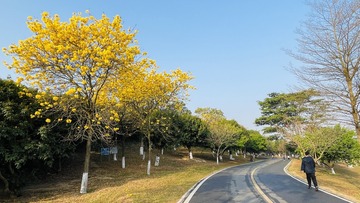 FD382CB0-B902-4F59-A890-83ECEB9E33D7/L0/001