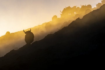 95868