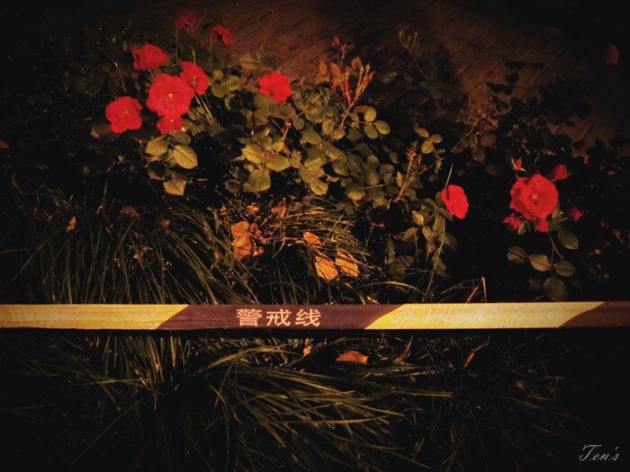 5-9<br />
WARNING! THE ROSE IS DANGEROUS