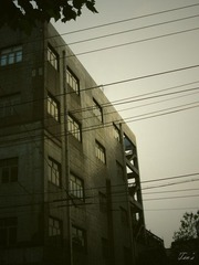 5-5.jpg