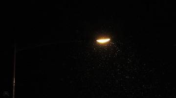 IMG_8612_副本tc.jpg