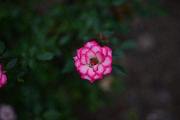 04FB68C3-D250-45CB-9644-316706014BD6/L0/001