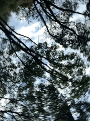 7B4816DB-E4E5-468A-A7EF-C84030C63AEF/L0/001