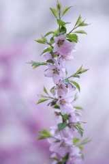 69E70C36-5CC2-48AB-A25D-B27DF506DE0A/L0/001