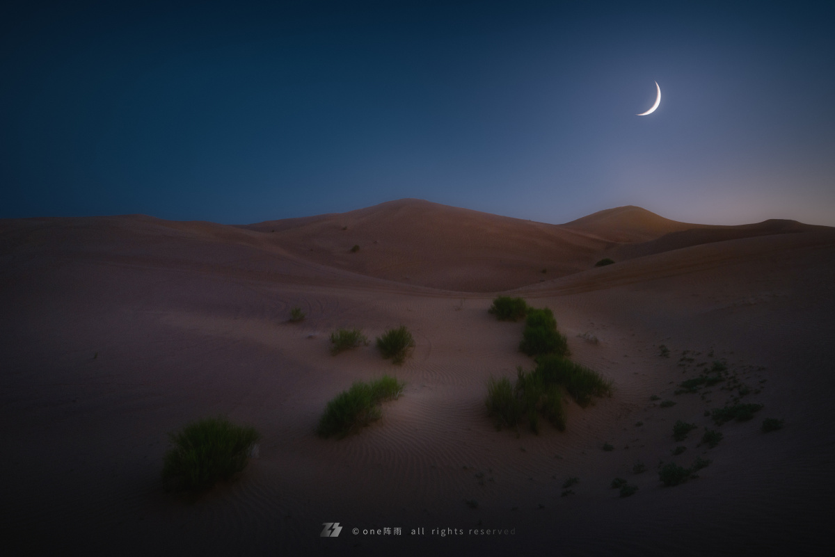 月光沙漠