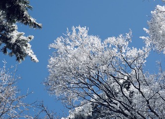 23F57169-7437-40F9-9B4B-B13671810F50/L0/001