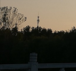 129812