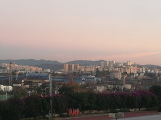 201113