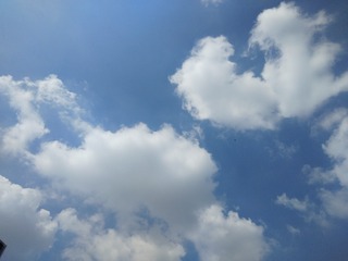 324
