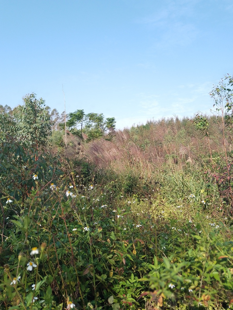 荒山野岭走一走