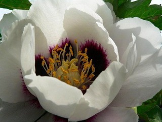 P1120782