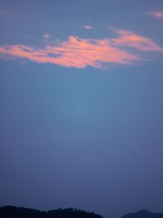 1000030082
