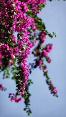 1F2F8CE9-002D-4D89-AAC5-47CECE2B2571/L0/001