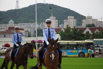 IMGP4466.JPG