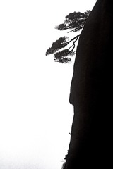 51BFA5CB-014E-4CEA-A9EA-CDF42D43F10F/L0/001