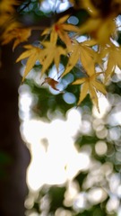 66B970D7-3560-4C44-A69D-78EA37B33CE5/L0/001