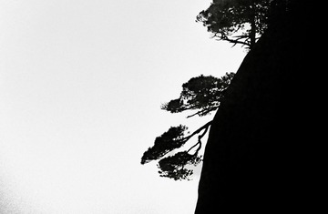 361085C9-854E-474D-BF4C-C68CC3570204/L0/001