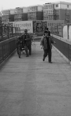 DSC07332.JPG