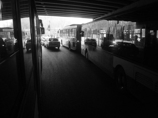 DSC07479.JPG