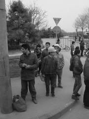 DSC07485.JPG