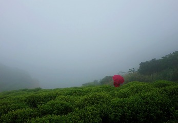 DSC02400_副本