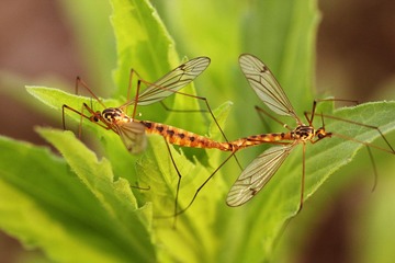 120508爱需要坚持.jpg