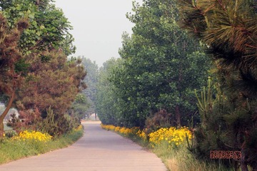 20120525泊船山曲径.jpg