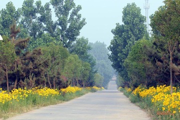 20120525泊船山小路.jpg