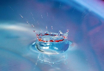 20120527冠3.jpg