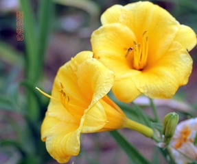 20120527拥抱.jpg