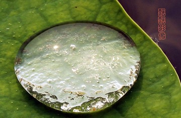 20120527水世界.jpg