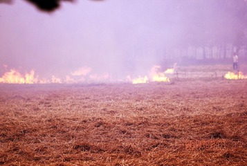 20120612火海2.jpg