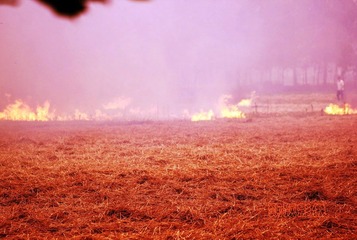 20120612火海2.jpg