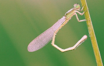 20120620晨练.jpg