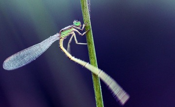 20120620起舞.jpg