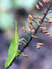 20120620守护.jpg