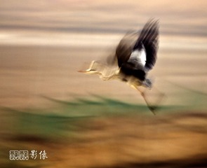 20121116飞翔5373.jpg