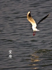 20121117空降5593.jpg