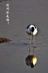 20121117你是谁5565.jpg