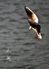20121117人间5600.jpg