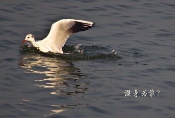 20121117湿身为谁5626.jpg