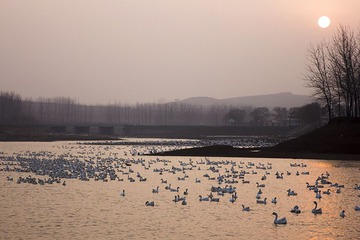 _MG_7443.jpg